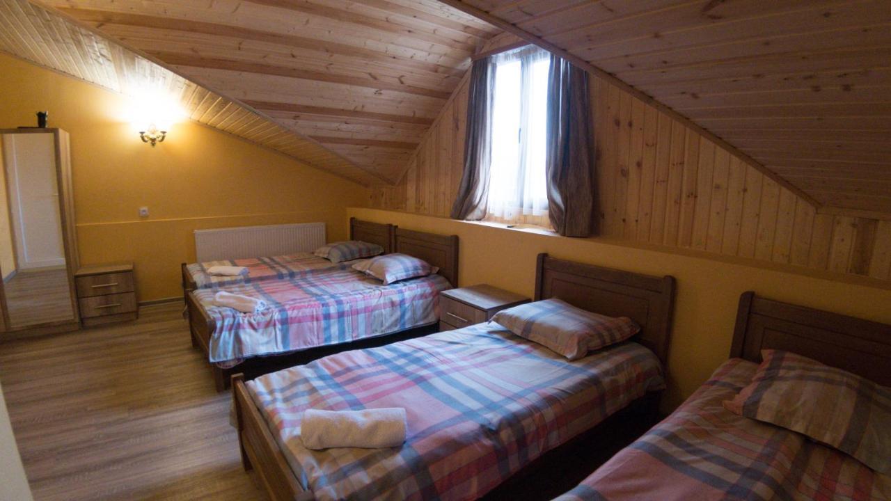 Hotel Eco House In Bakuriani Eksteriør billede