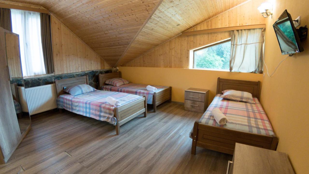 Hotel Eco House In Bakuriani Eksteriør billede