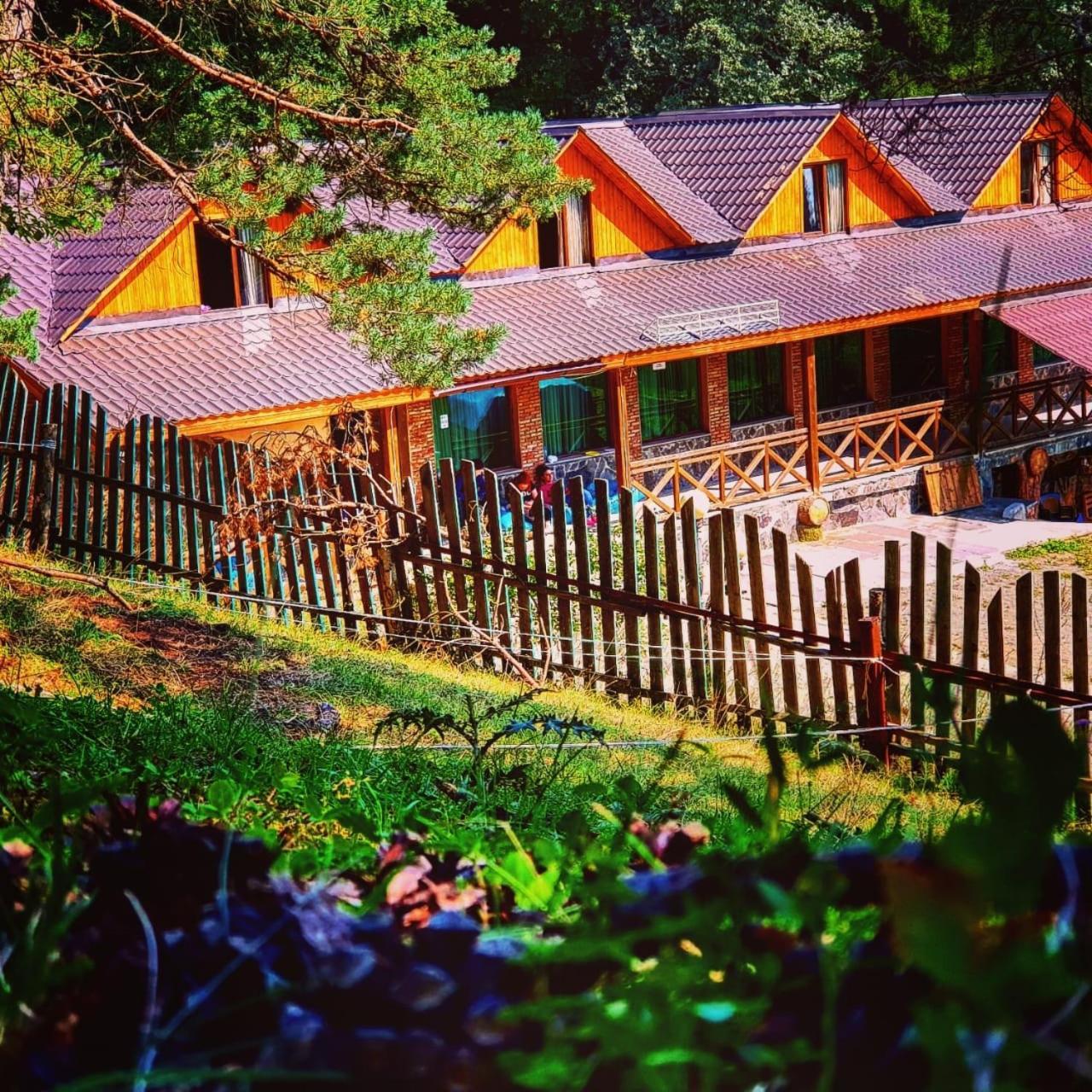 Hotel Eco House In Bakuriani Eksteriør billede