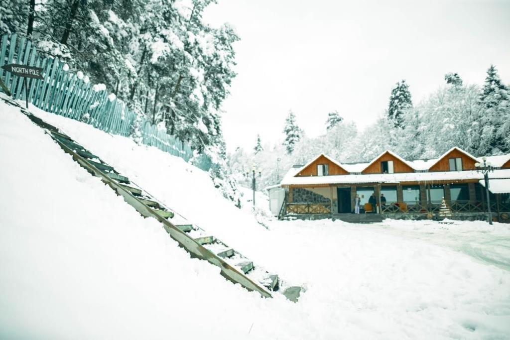 Hotel Eco House In Bakuriani Eksteriør billede