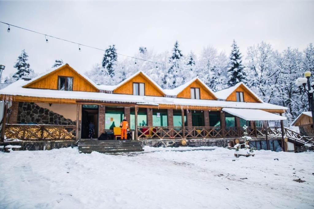 Hotel Eco House In Bakuriani Eksteriør billede