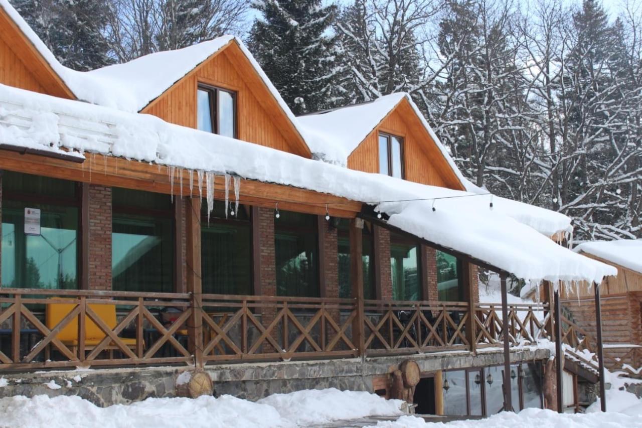 Hotel Eco House In Bakuriani Eksteriør billede